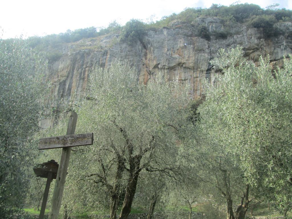 Massone Climbing Home Arco Εξωτερικό φωτογραφία